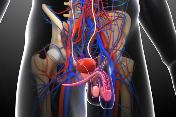 Hypogonadism Treatment